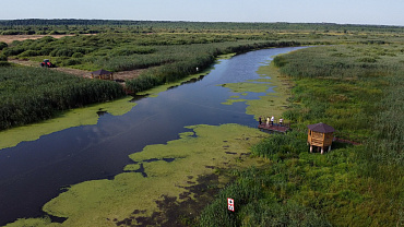 Заказник Споровский и усыпальница Ожешко