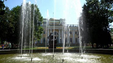 Дворец Румянцевых-Паскевичей  и музей старообрядцев